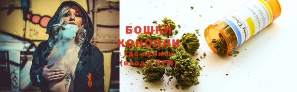 гидропоника Аркадак