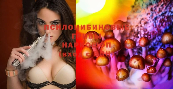 гидропоника Аркадак