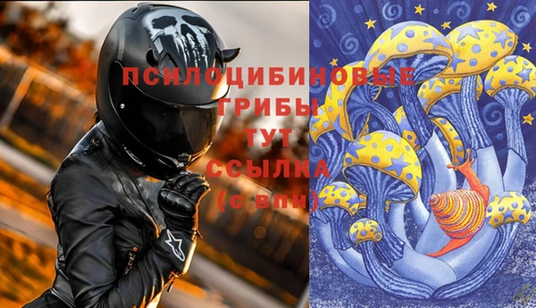 гидропоника Аркадак