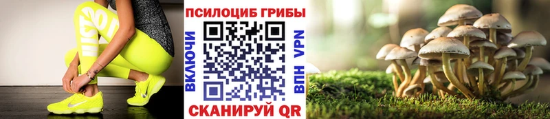наркошоп  Зарайск  кракен зеркало  Галлюциногенные грибы Psilocybe 