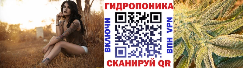хочу наркоту  Зарайск  mega онион  Шишки марихуана план 